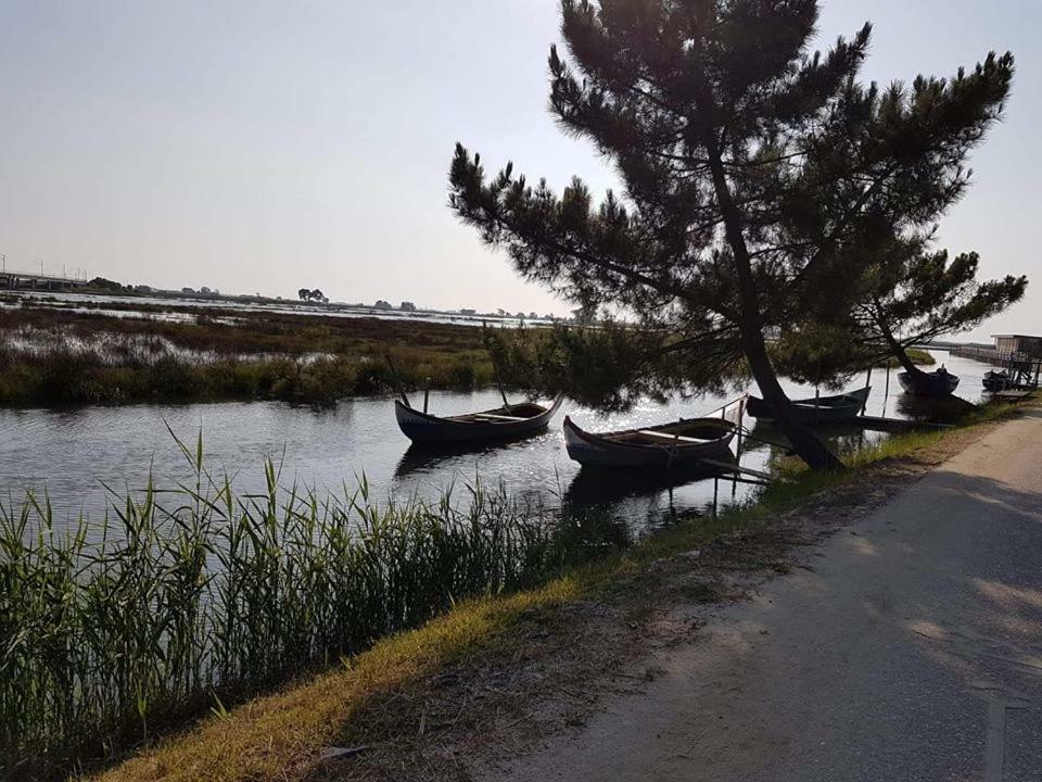 Casa Da Ribeira Apartment Aveiro Ngoại thất bức ảnh